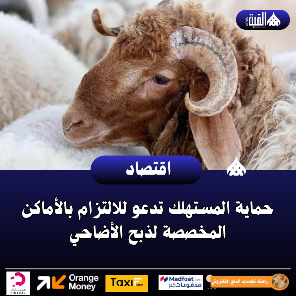 حماية المستهلك تدعو للالتزام بالأماكن المخصصة لذبح الأضاحي