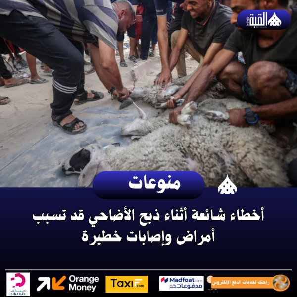 أخطاء شائعة أثناء ذبح الأضاحي قد تسبب أمراض وإصابات خطيرة
