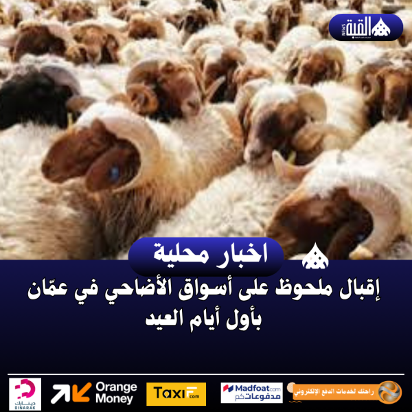 إقبال ملحوظ على أسواق الأضاحي في عمّان بأول أيام العيد