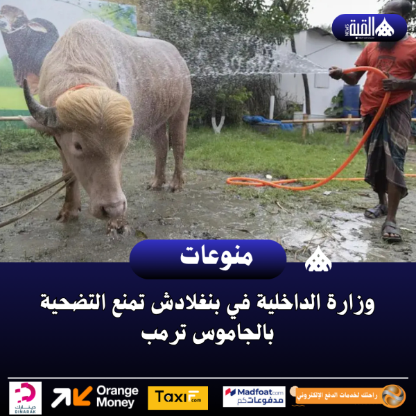 وزارة الداخلية في بنغلادش تمنع التضحية بالجاموس ترمب