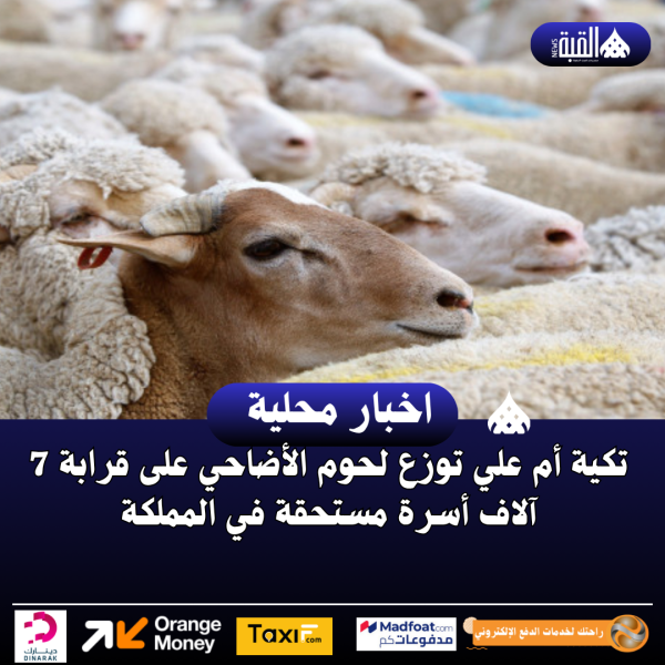 تكية أم علي توزع لحوم الأضاحي على قرابة 7 آلاف أسرة مستحقة في المملكة