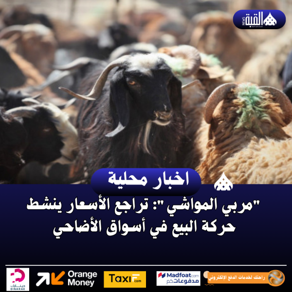 مربي المواشي: تراجع الأسعار ينشط حركة البيع في أسواق الأضاحي