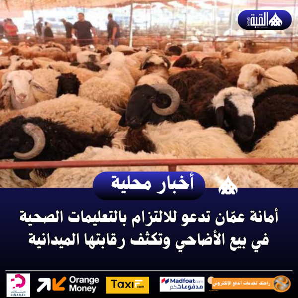أمانة عمّان تدعو للالتزام بالتعليمات الصحية في بيع الأضاحي وتكثف رقابتها الميدانية