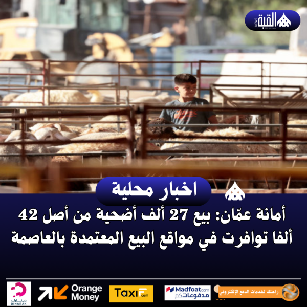 أمانة عمّان: بيع 27 ألف أضحية من أصل 42 ألفا توافرت في مواقع البيع المعتمدة بالعاصمة
