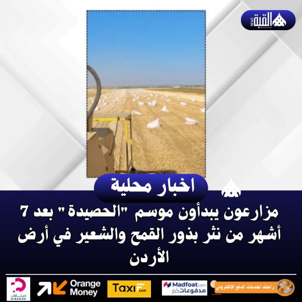 مزارعون يبدأون موسم الحصيدة بعد 7 أشهر من نثر بذور القمح والشعير في أرض الأردن