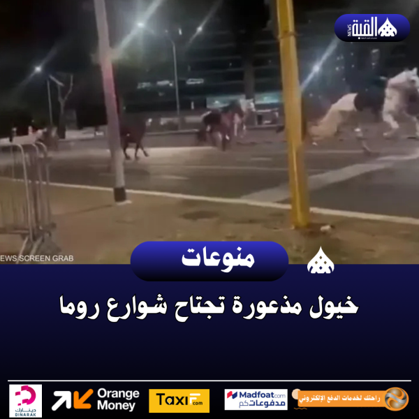 خيول مذعورة تجتاح شوارع روما