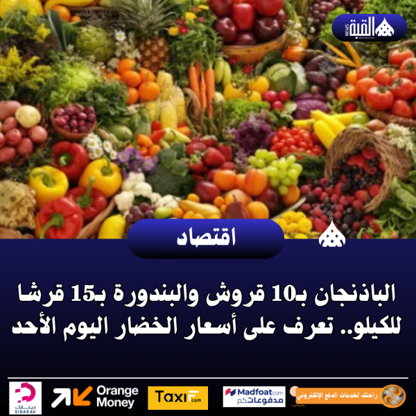 الباذنجان بـ10 قروش والبندورة بـ15 قرشا للكيلو.. تعرف على أسعار الخضار اليوم الأحد