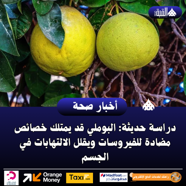 دراسة حديثة: البوملي قد يمتلك خصائص مضادة للفيروسات ويقلل الالتهابات في الجسم