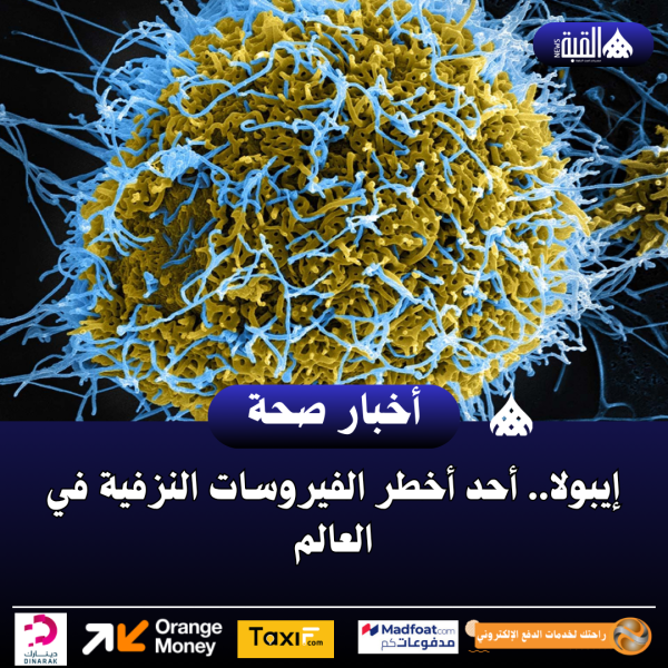 إيبولا.. أحد أخطر الفيروسات النزفية في العالم