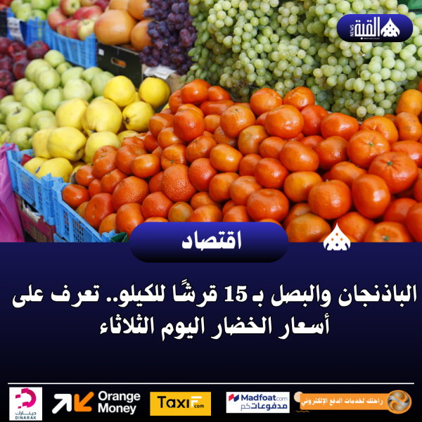 الباذنجان والبصل بـ 15 قرشًا للكيلو.. تعرف على أسعار الخضار اليوم الثلاثاء