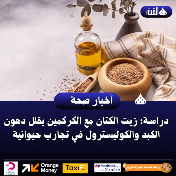 دراسة: زيت الكتان مع الكركمين يقلل دهون الكبد والكوليسترول في تجارب حيوانية