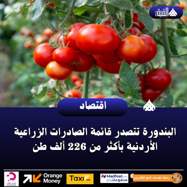 عاجل| البندورة تتصدر قائمة الصادرات الزراعية الأردنية بأكثر من 226 ألف طن