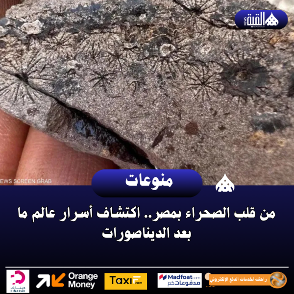 كدمة حمراء على وجه الأمير أندرو تثير التكهنات
