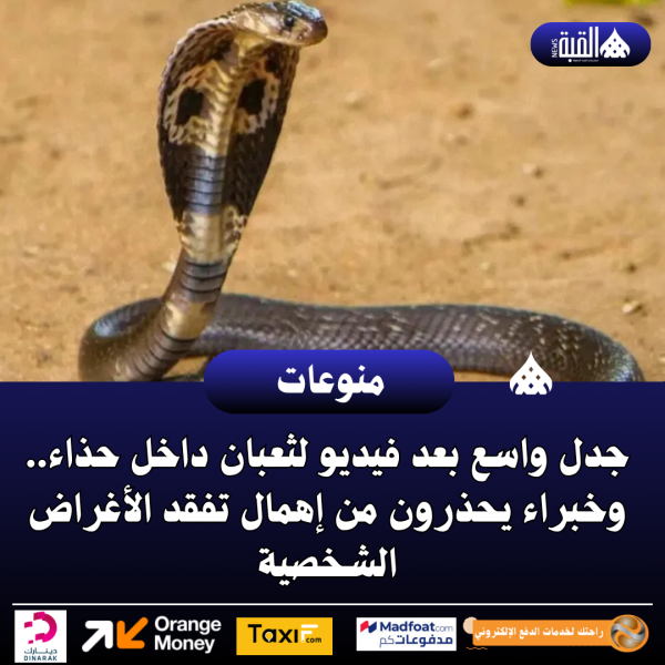جدل واسع بعد فيديو لثعبان داخل حذاء.. وخبراء يحذرون من إهمال تفقد الأغراض الشخصية