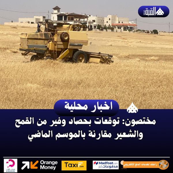 مختصون: توقعات بحصاد وفير من القمح والشعير مقارنة بالموسم الماضي