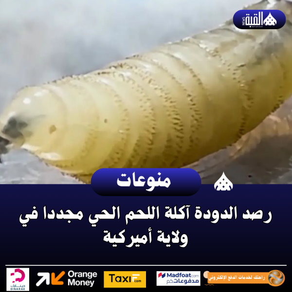 رصد الدودة آكلة اللحم الحي مجددا في ولاية أميركية