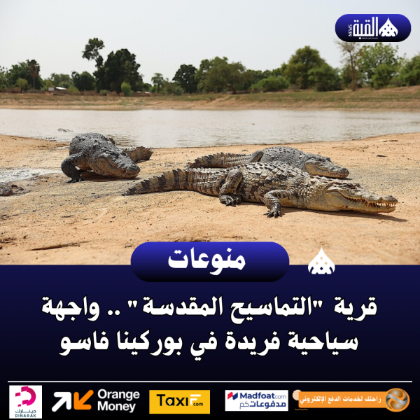 قرية التماسيح المقدسة .. واجهة سياحية فريدة في بوركينا فاسو