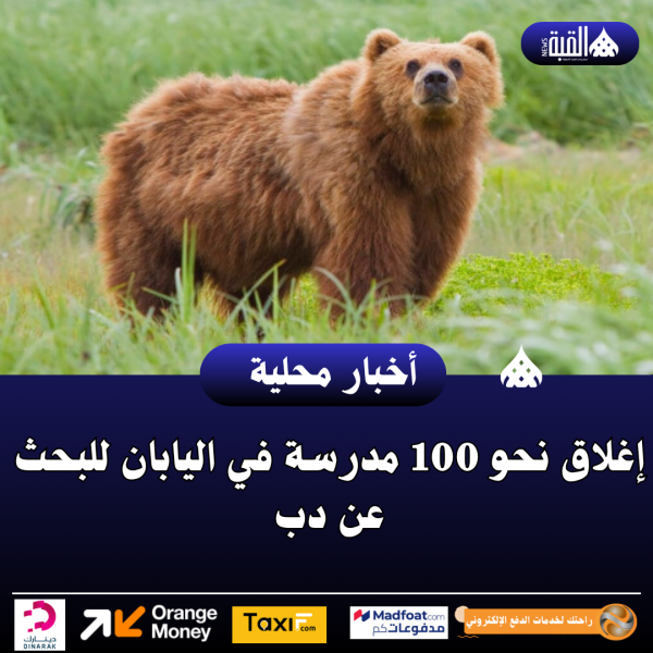 إغلاق نحو 100 مدرسة في اليابان للبحث عن دب