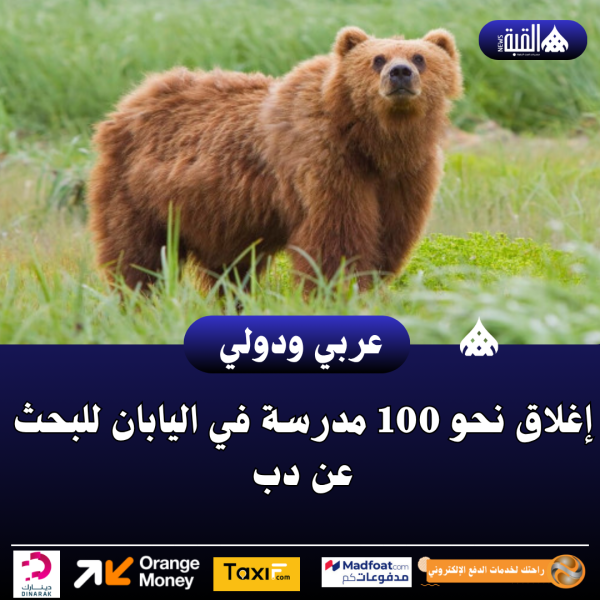 إغلاق نحو 100 مدرسة في اليابان للبحث عن دب