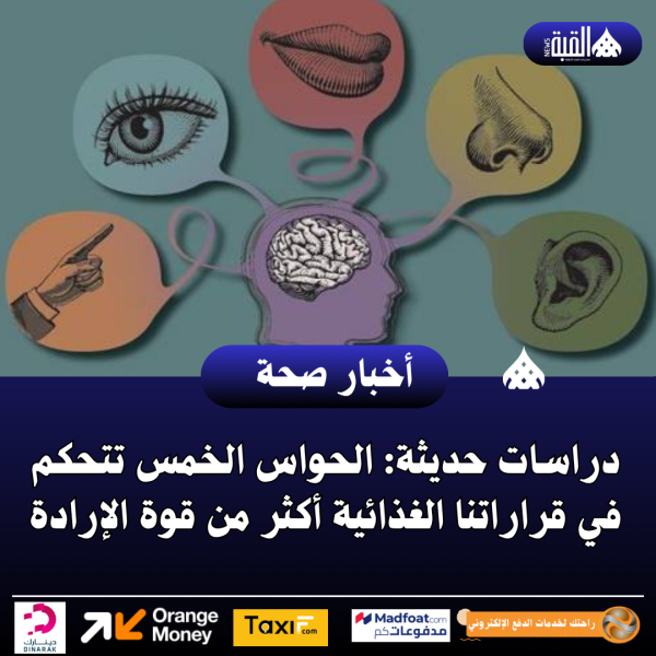 دراسات حديثة: الحواس الخمس تتحكم في قراراتنا الغذائية أكثر من قوة الإرادة