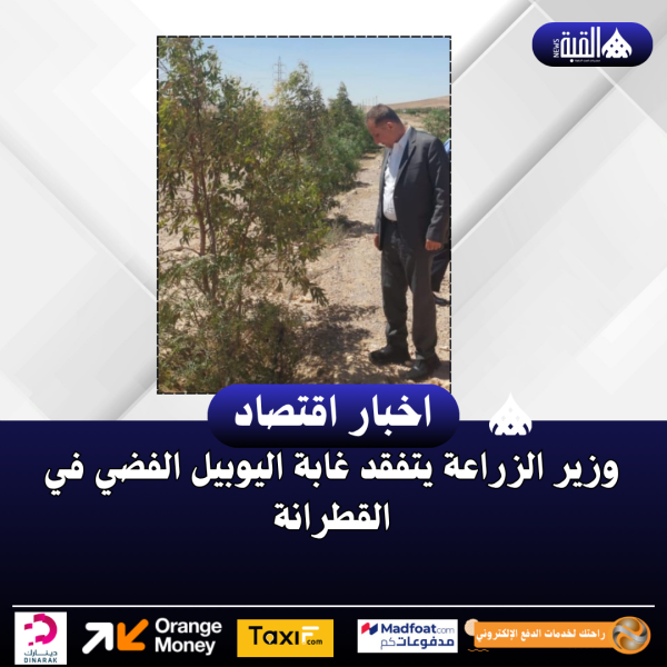 وزير الزراعة يتفقد غابة اليوبيل الفضي في القطرانة