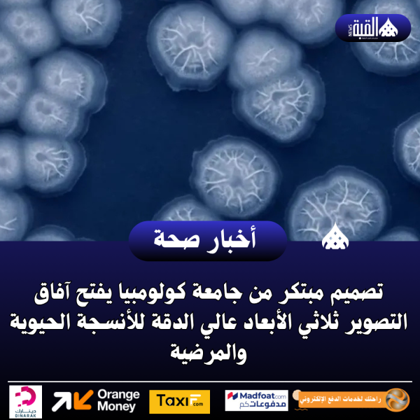 تصميم مبتكر من جامعة كولومبيا يفتح آفاق التصوير ثلاثي الأبعاد عالي الدقة للأنسجة الحيوية والمرضية