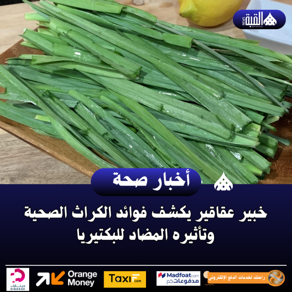 خبير عقاقير يكشف فوائد الكراث الصحية وتأثيره المضاد للبكتيريا
