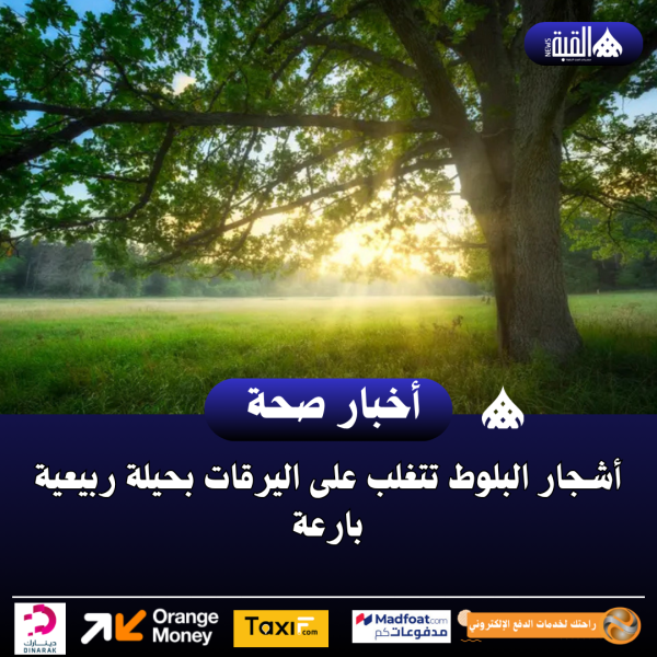 أشجار البلوط تتغلب على اليرقات بحيلة ربيعية بارعة