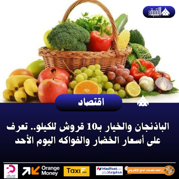 الباذنجان والخيار بـ10 قروش للكيلو.. تعرف على أسعار الخضار والفواكه اليوم الأحد
