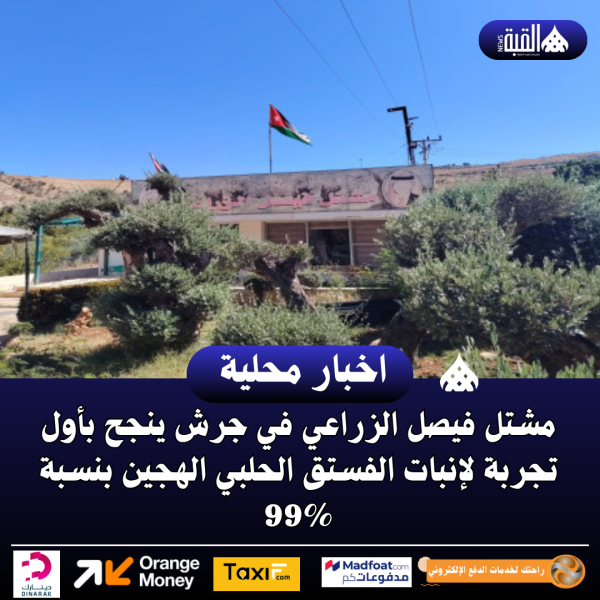 مشتل فيصل الزراعي في جرش ينجح بأول تجربة لإنبات الفستق الحلبي الهجين بنسبة 99