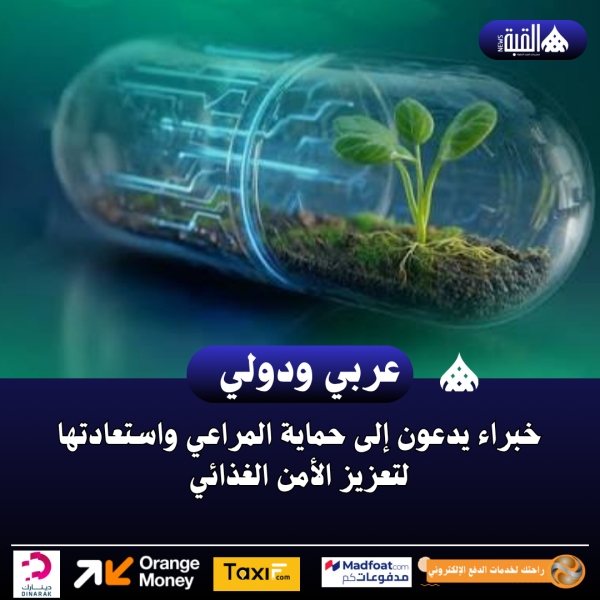 خبراء يدعون إلى حماية المراعي واستعادتها لتعزيز الأمن الغذائي