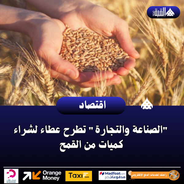 عاجل| الصناعة والتجارة تطرح عطاء لشراء كميات من القمح