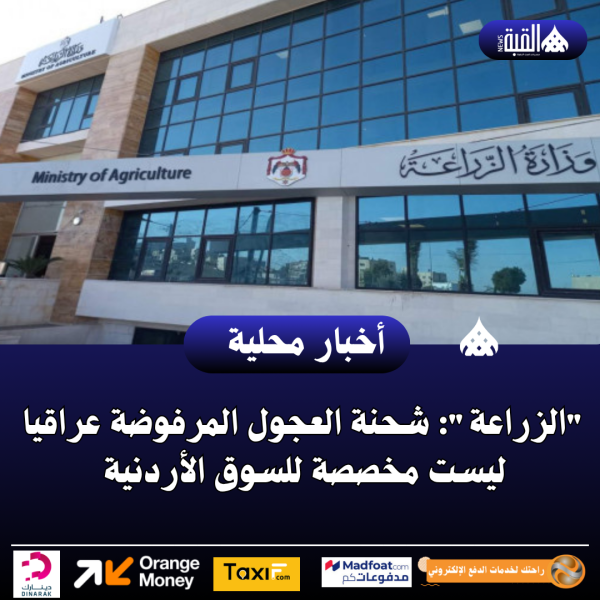 الزراعة: شحنة العجول المرفوضة عراقيا ليست مخصصة للسوق الأردنية