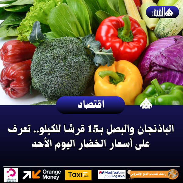 الباذنجان والبصل بـ15 قرشا للكيلو.. تعرف على أسعار الخضار اليوم الأحد
