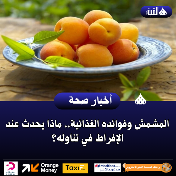 المشمش وفوائده الغذائية.. ماذا يحدث عند الإفراط في تناوله؟