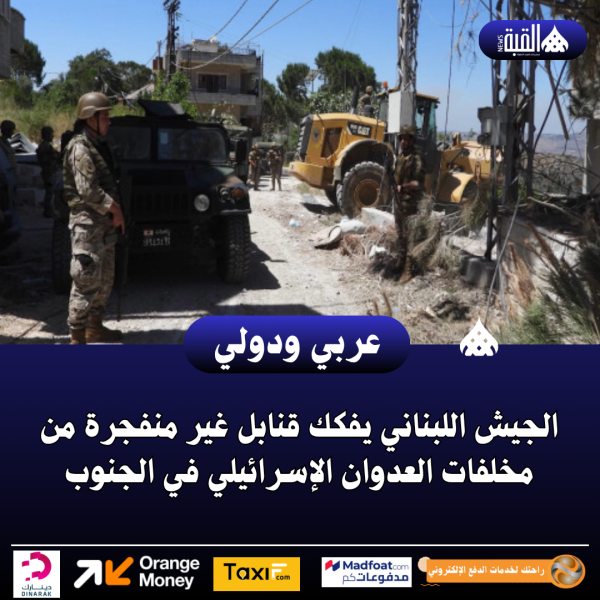 الجيش اللبناني يفكك قنابل غير منفجرة من مخلفات العدوان الإسرائيلي في الجنوب