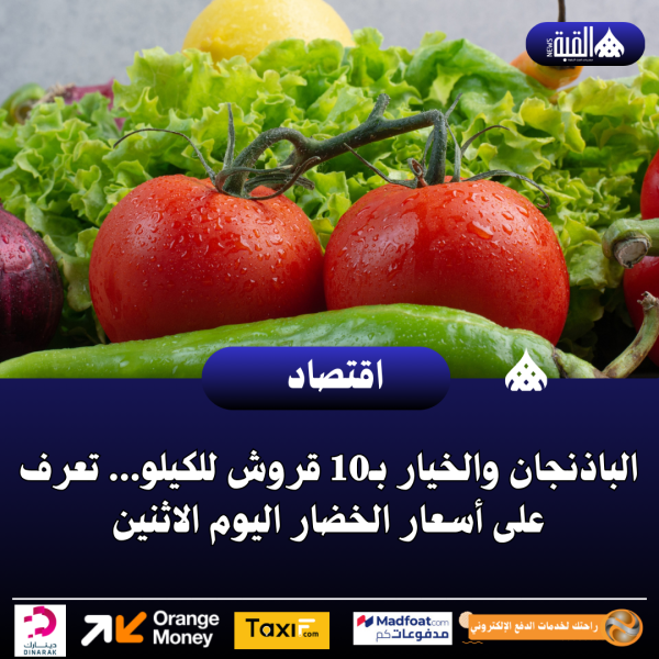 الباذنجان والخيار بـ10 قروش للكيلو... تعرف على أسعار الخضار اليوم الاثنين