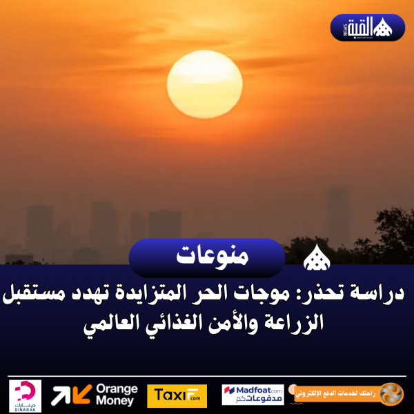 دراسة تحذر: موجات الحر المتزايدة تهدد مستقبل الزراعة والأمن الغذائي العالمي