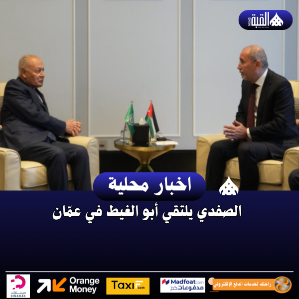 الصفدي يلتقي أبو الغيط في عمّان