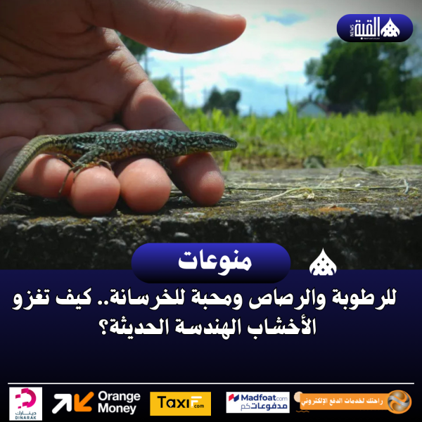 مقاومة للرطوبة والرصاص ومحبة للخرسانة.. كيف تغزو الأخشاب الهندسة الحديثة؟