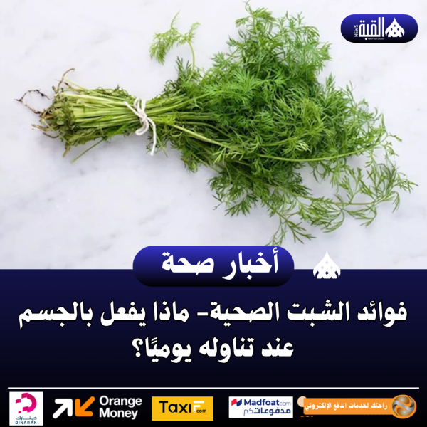 فوائد الشبت الصحية ماذا يفعل بالجسم عند تناوله يوميًا؟