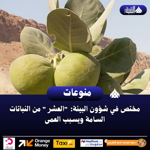 مختص في شؤون البيئة: العشر من النباتات السامة ويسبب العمى