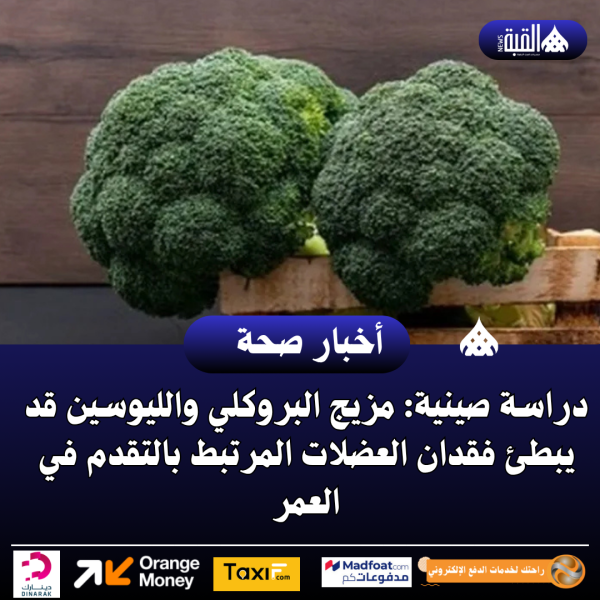 دراسة صينية: مزيج البروكلي والليوسين قد يبطئ فقدان العضلات المرتبط بالتقدم في العمر
