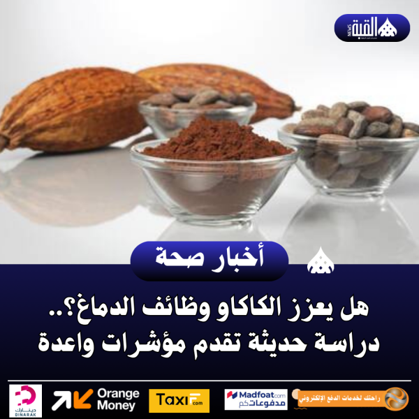 هل يعزز الكاكاو وظائف الدماغ؟.. دراسة حديثة تقدم مؤشرات واعدة