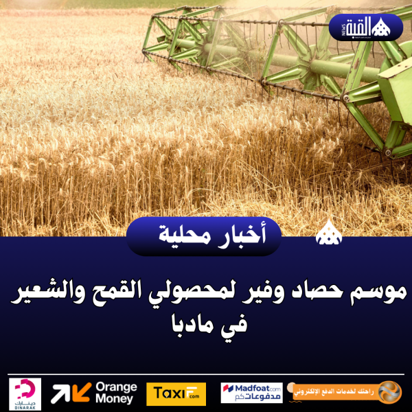 موسم حصاد وفير لمحصولي القمح والشعير في مادبا