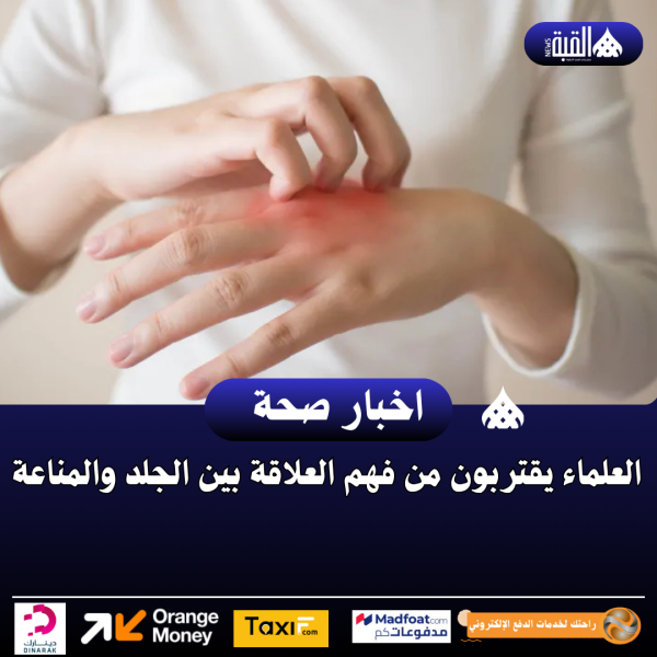 العلماء يقتربون من فهم العلاقة بين الجلد والمناعة