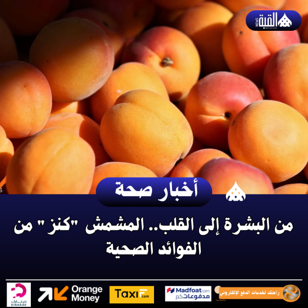 من البشرة إلى القلب.. المشمش كنز من الفوائد الصحية