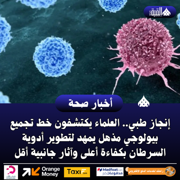 إنجاز طبي.. العلماء يكتشفون خط تجميع بيولوجي مذهل يمهد لتطوير أدوية السرطان بكفاءة أعلى وآثار جانبية
