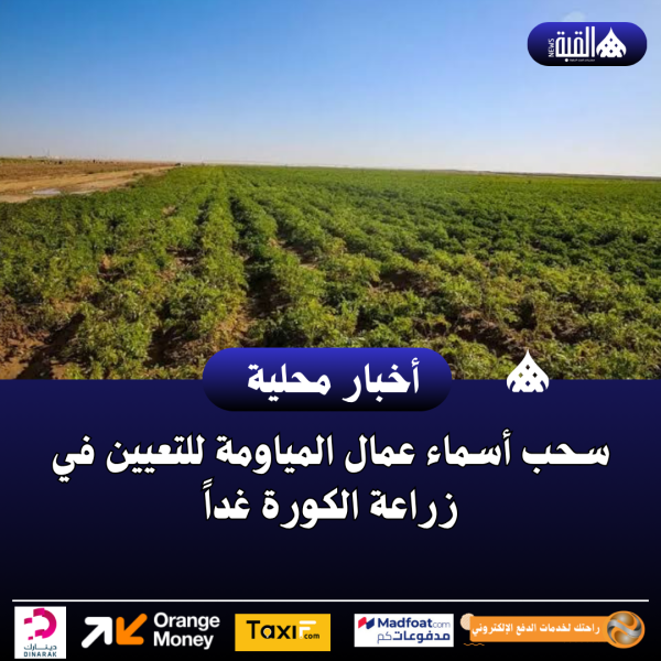 سحب أسماء عمال المياومة للتعيين في زراعة الكورة غداً