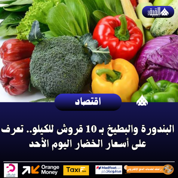 البندورة والبطيخ بـ 10 قروش للكيلو.. تعرف على أسعار الخضار اليوم الأحد